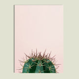 Modern Minimalist Cactus Leaf Plant Poster