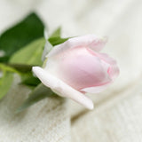 7 Pcs Real Touch Branch Stem Latex Rose Hand Feel Felt Simulation Decorative